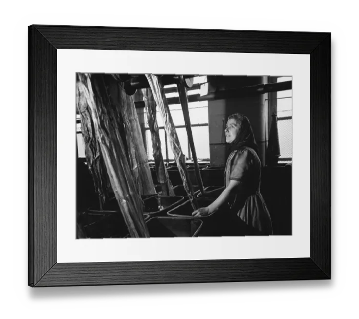 Framed Print : Irish Linen