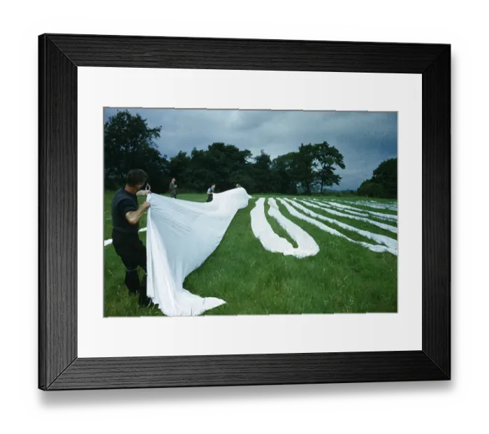 Framed Print : Linen On The Grass Framed Print : Linen On The Grass