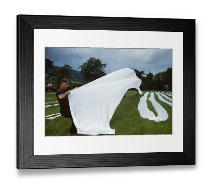 Framed Print : Grass Bleaching Framed Print : Grass Bleaching