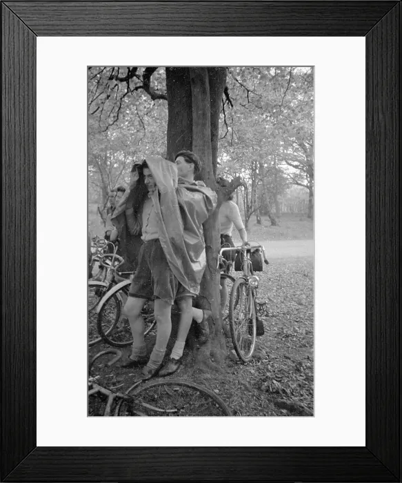 Framed Print : Sheltering From Rain Framed Print : Sheltering From Rain