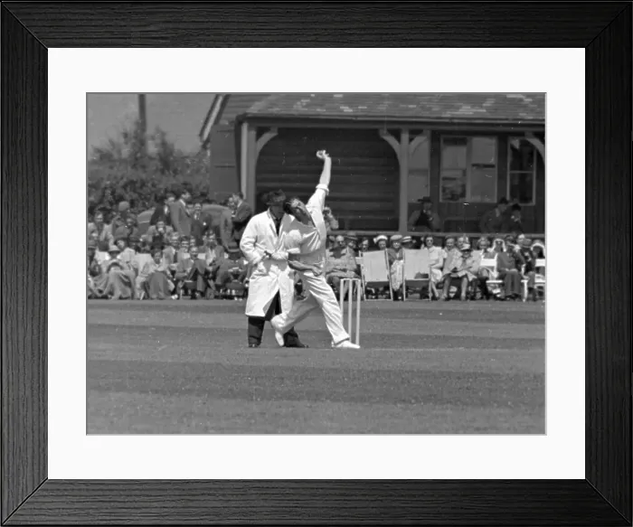 Framed Print : Bowled Over Framed Print : Bowled Over
