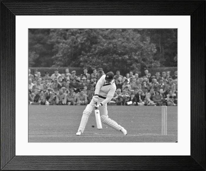 Framed Print : Cow Shot. 12th June 1948: Toshack makes a heft