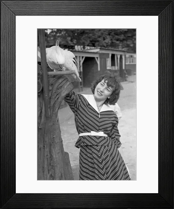 Framed Print : Parrot Talk Framed Print : Parrot Talk