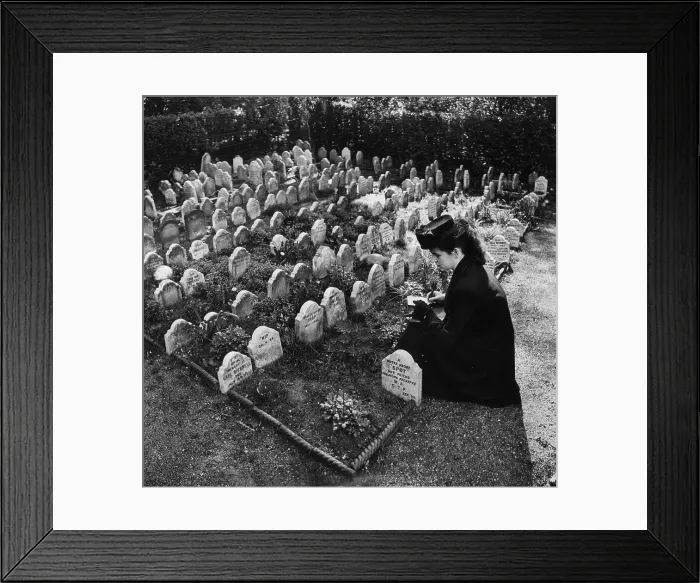 Framed Print : Pet Cemetery Framed Print : Pet Cemetery