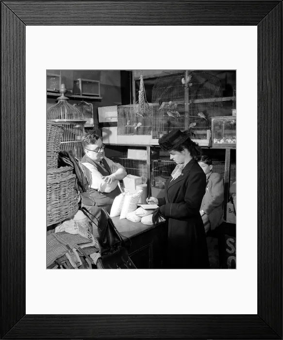 Framed Print : Pet Shop. 22nd May 1948: BBC scriptwriter Jenifer Wayne visiting Wally Framed Print : Pet Shop. 22nd May 1948: BBC scriptwriter Jenifer Wayne visiting Wally
