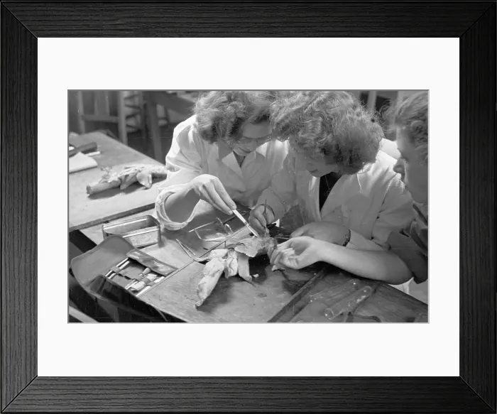 Framed Print : Biology Lesson Framed Print : Biology Lesson