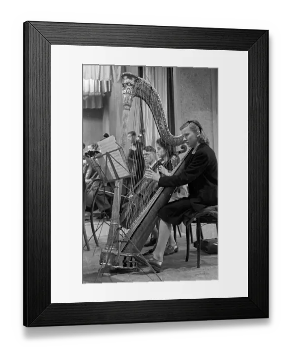 Framed Print : Youth Orchestra Framed Print : Youth Orchestra