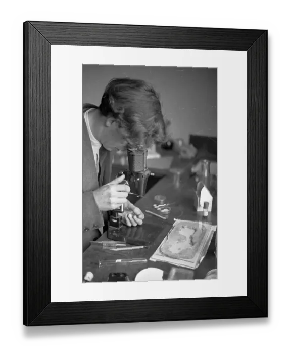 Framed Print : Inspecting A Specimen Framed Print : Inspecting A Specimen