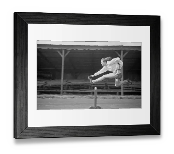 Framed Print : Hurdle Champion Framed Print : Hurdle Champion