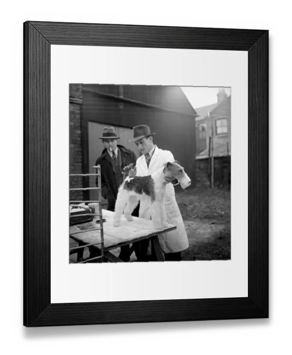 Framed Print : Show Stance Framed Print : Show Stance