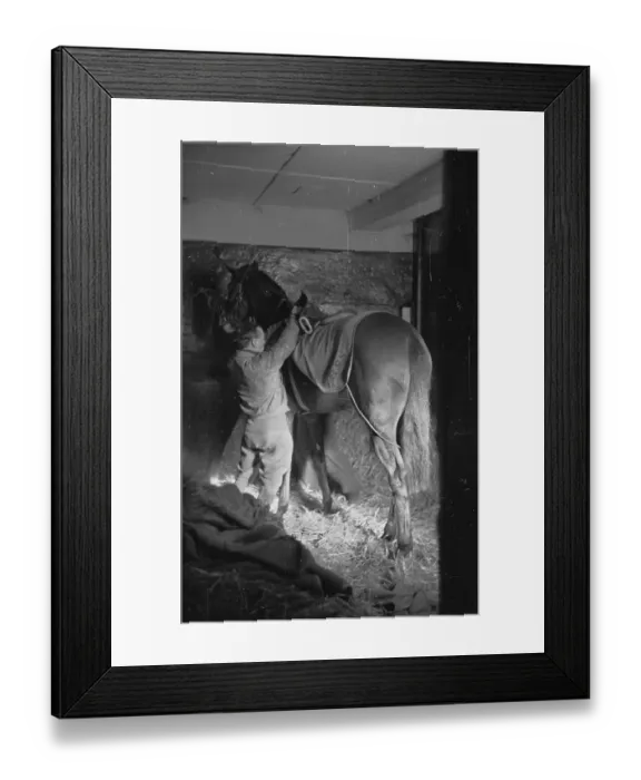Framed Print : Cool Customer Framed Print : Cool Customer