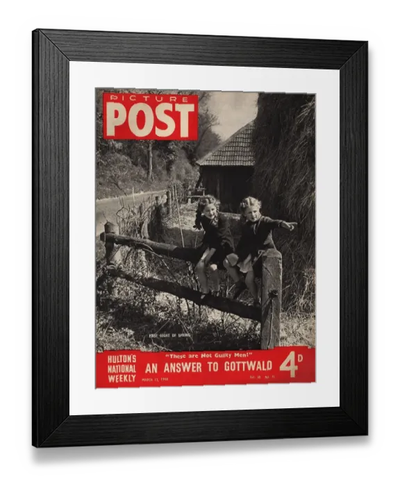 Framed Print : First Sight Of Spring Framed Print : First Sight Of Spring