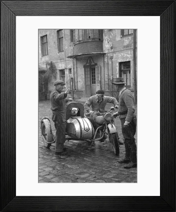 Framed Print : Sidecar Stray Framed Print : Sidecar Stray