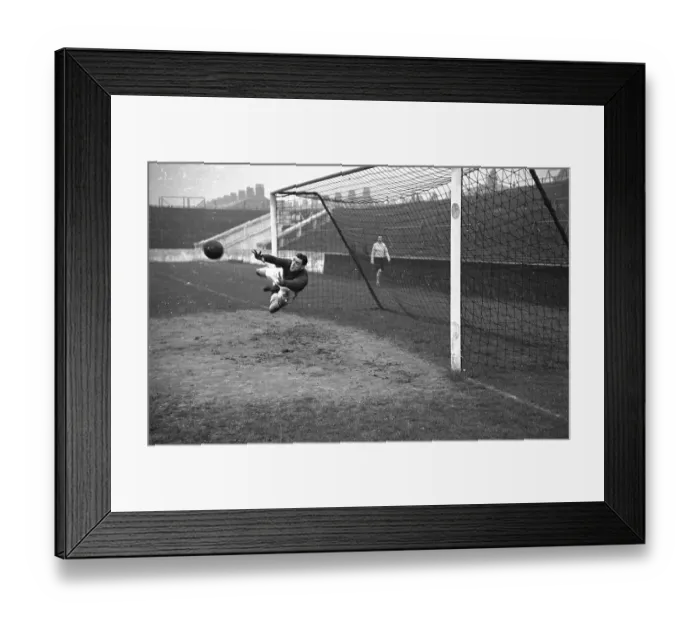 Framed Print : Swift Saves Framed Print : Swift Saves