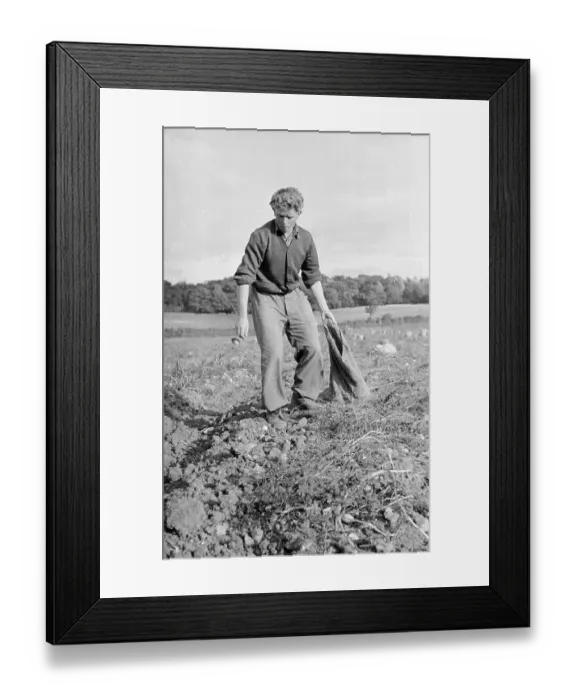 Framed Print : Farm Worker