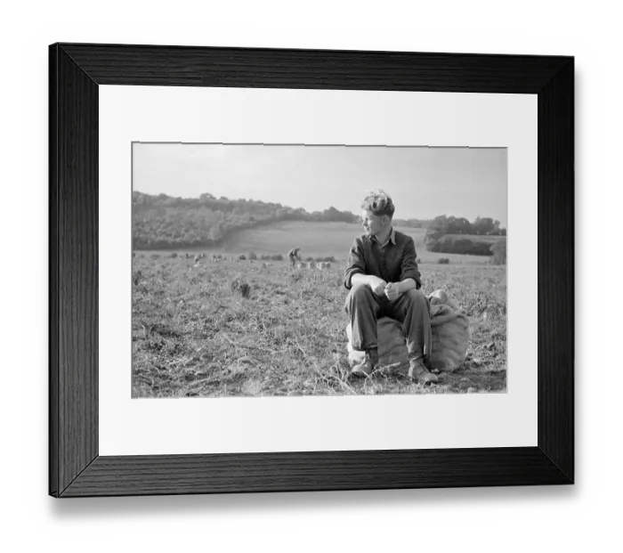 Framed Print : Volunteer Worker Framed Print : Volunteer Worker