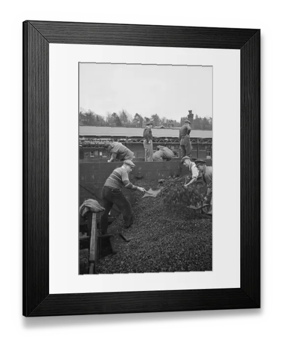 Framed Print : Volunteer Workers