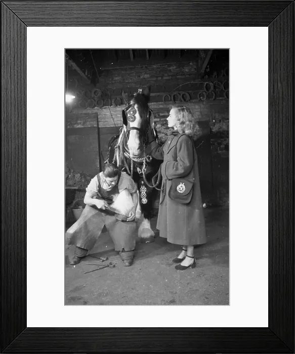 Framed Print : Horse Brasses Framed Print : Horse Brasses