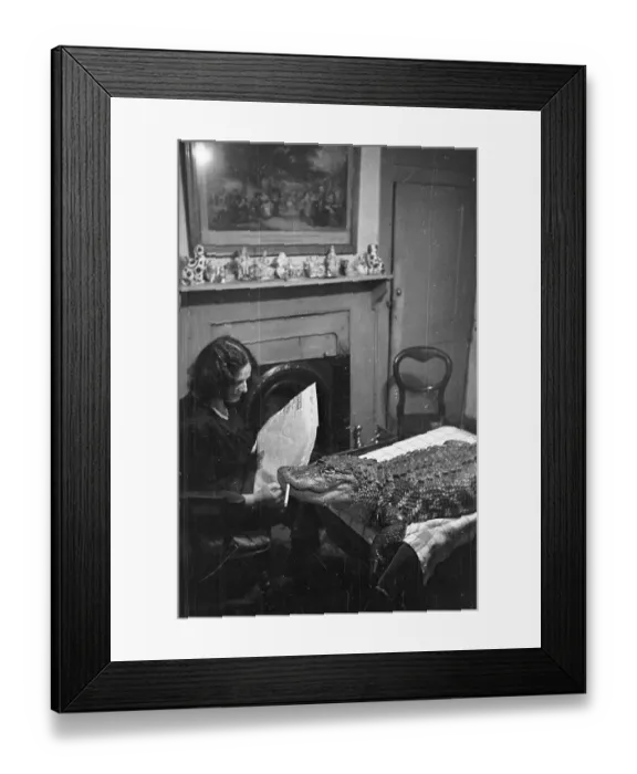 Framed Print : Smoked Alligator Framed Print : Smoked Alligator