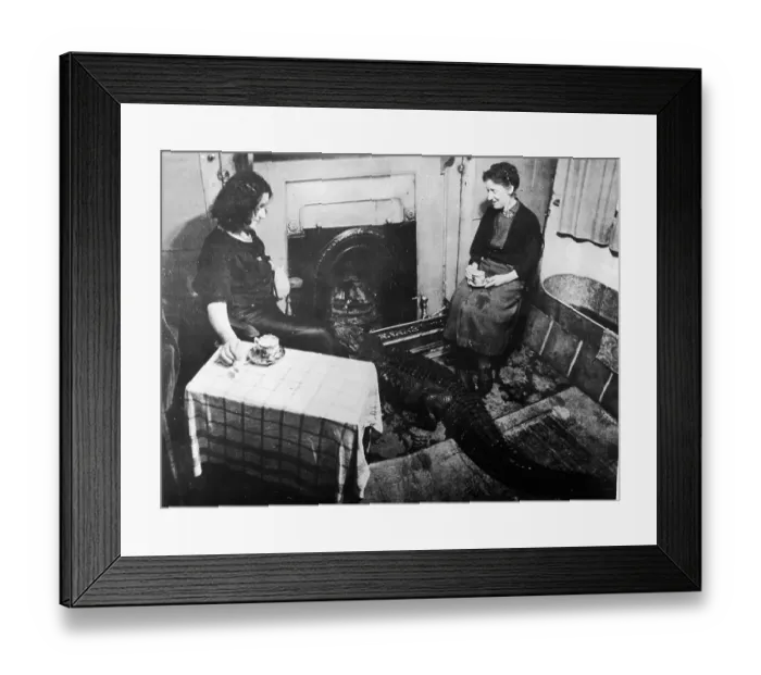 Framed Print : Reptile Resident Framed Print : Reptile Resident