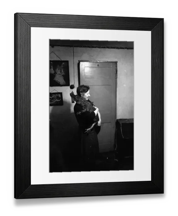 Framed Print : Reptile Pets Framed Print : Reptile Pets