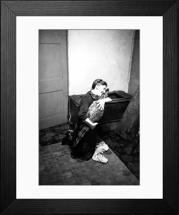 Framed Print : Pet Alligator Framed Print : Pet Alligator