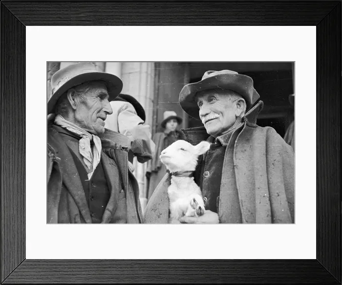 Framed Print : Shepherds. 20th December 1947: The oldest shepherd present carrying the Framed Print : Shepherds. 20th December 1947: The oldest shepherd present carrying the