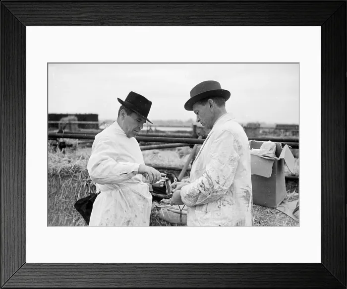 Framed Print : Testing Pedigree Framed Print : Testing Pedigree