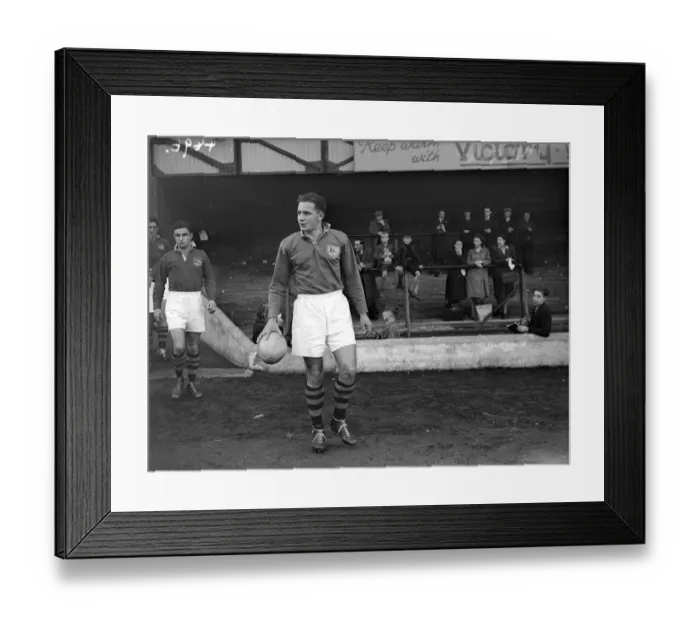 Framed Print : Wallaby Captain