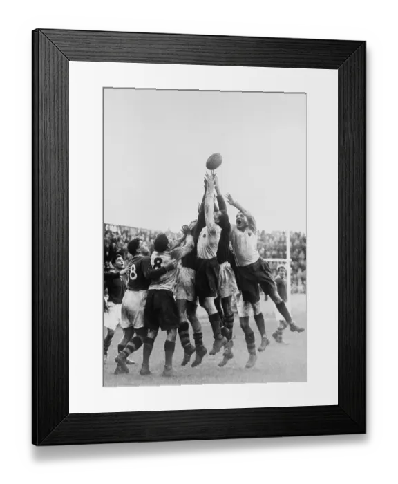 Framed Print : Out Of Reach Framed Print : Out Of Reach