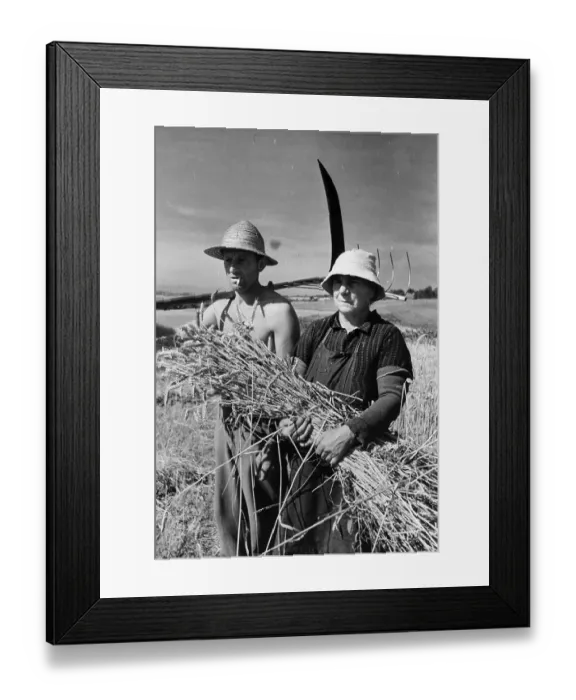 Framed Print : French Crop Failure Framed Print : French Crop Failure
