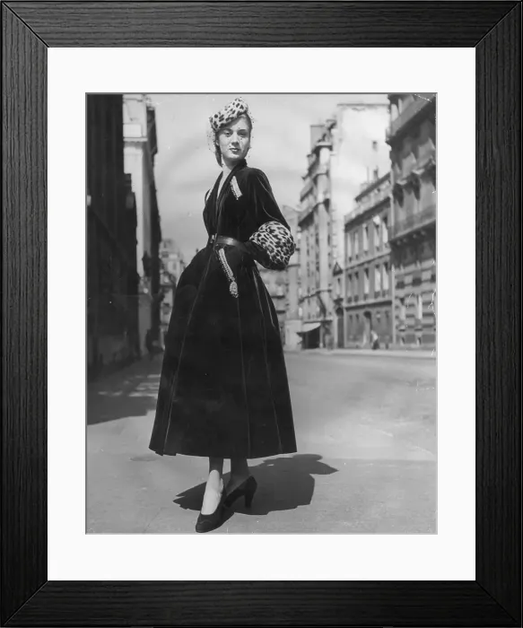 Framed Print : Dashing Elegance Framed Print : Dashing Elegance