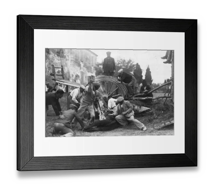 Framed Print : Branding Bull Framed Print : Branding Bull