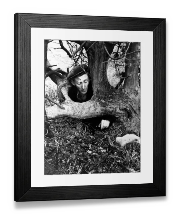 Framed Print : Rabbit Hunting Framed Print : Rabbit Hunting