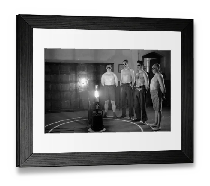 Framed Print : Sun Worshippers Framed Print : Sun Worshippers