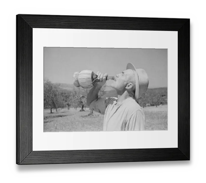 Framed Print : Italian Orchard Framed Print : Italian Orchard