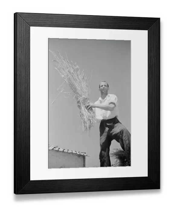 Framed Print : Italian Farmer Framed Print : Italian Farmer