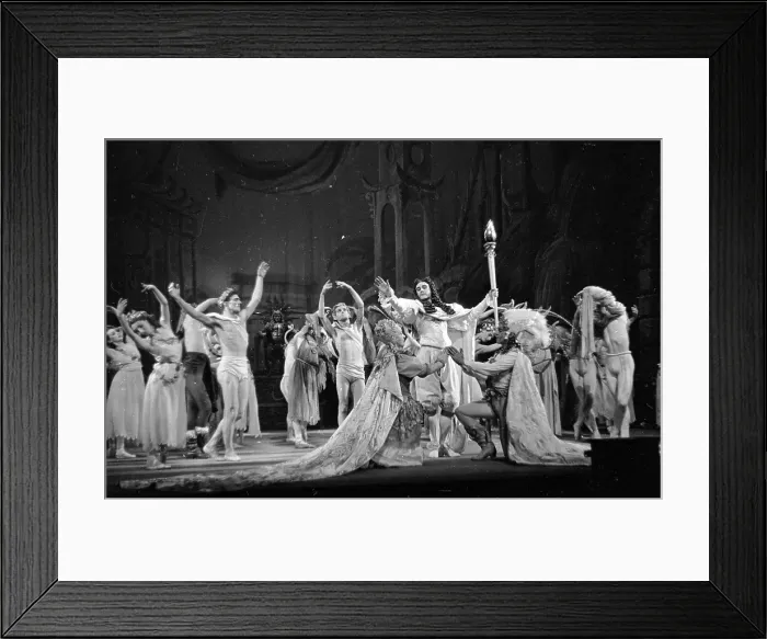 Framed Print : The Fairy Queen Framed Print : The Fairy Queen