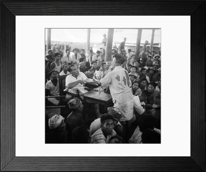 Framed Print : Local Rajah Framed Print : Local Rajah