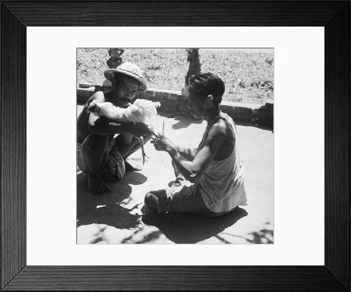 Framed Print : Fitting Spurs