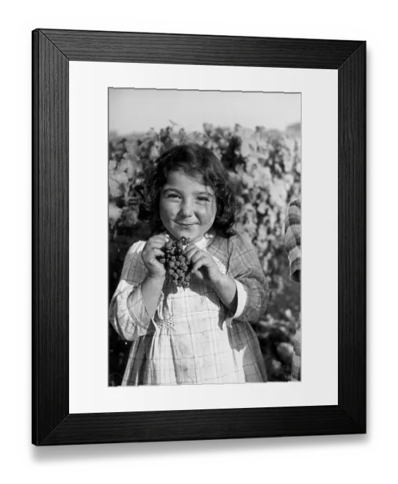 Framed Print : Yummy Fruit Framed Print : Yummy Fruit