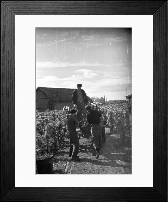 Framed Print : To The Press Framed Print : To The Press
