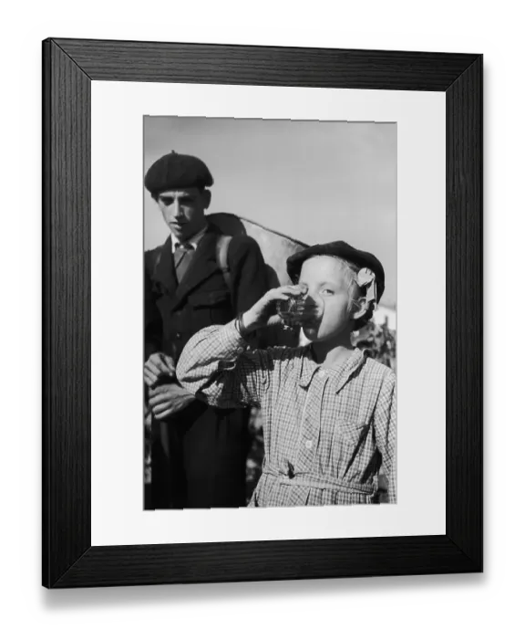 Framed Print : Young Harvester Framed Print : Young Harvester