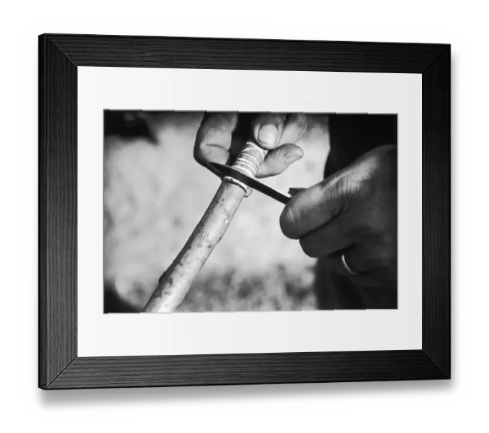 Framed Print : Winegrower Framed Print : Winegrower