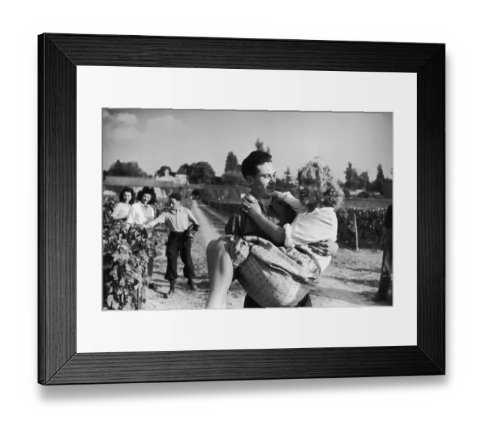 Framed Print : Vineyard Romance Framed Print : Vineyard Romance