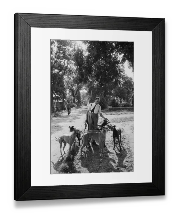 Framed Print : Dogs Walk Man