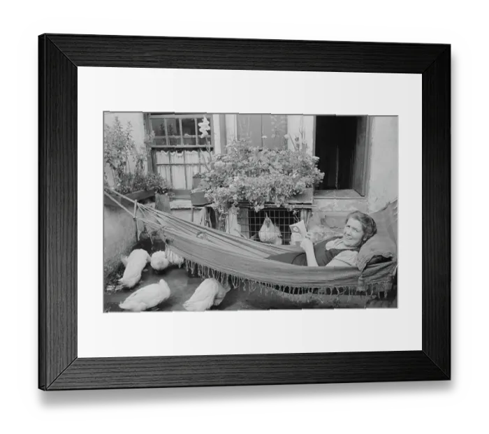 Framed Print : Country Life Framed Print : Country Life