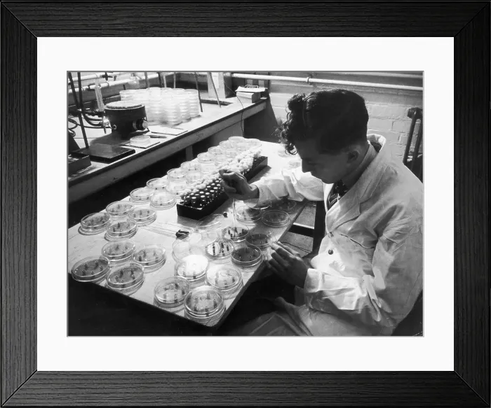 Framed Print : Lab Assistant Framed Print : Lab Assistant
