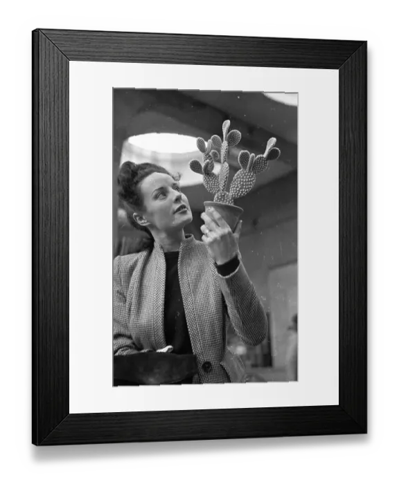 Framed Print : Inspecting A Cactus Framed Print : Inspecting A Cactus