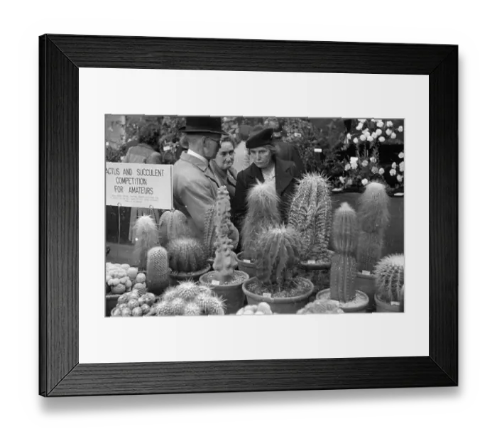 Framed Print : Horticultural Show Framed Print : Horticultural Show
